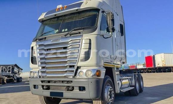 Tenga Tsaru Caterpillar 120 Chena Rori in Maputo in Maputo Tenga Tsaru Caterpillar 120 Chena Rori in Maputo in Maputo