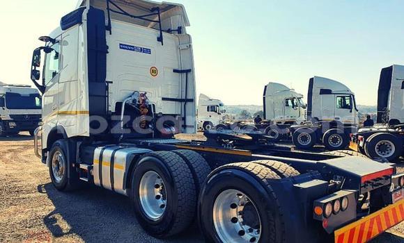 Tenga Tsaru Volvo F4 Chena Rori in Maputo in Maputo Tenga Tsaru Volvo F4 Chena Rori in Maputo in Maputo