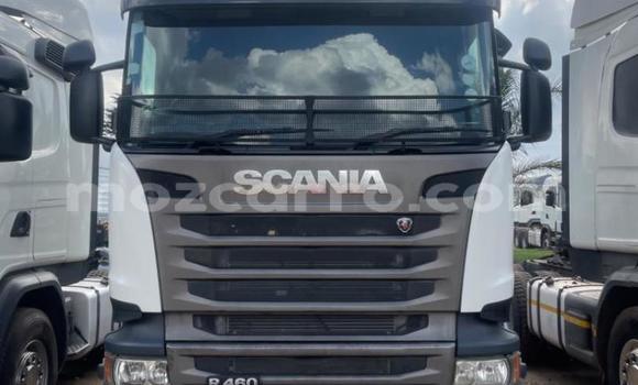 Comprar Usado Scania R420 Branco Caminhão em Maputo em Maputo Comprar Usado Scania R420 Branco Caminhão em Maputo em Maputo
