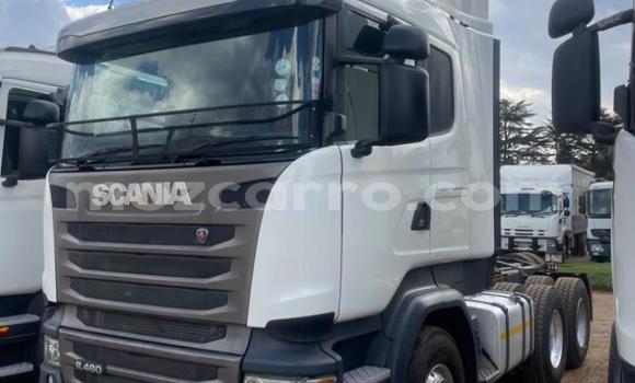 Tenga Tsaru Scania R420 Chena Rori in Maputo in Maputo Tenga Tsaru Scania R420 Chena Rori in Maputo in Maputo