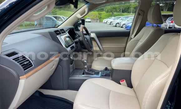 Tenga Tsaru Toyota Land Cruiser Prado Nhema Mota in Maputo in Maputo Tenga Tsaru Toyota Land Cruiser Prado Nhema Mota in Maputo in Maputo