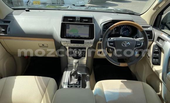 Tenga Tsaru Toyota Land Cruiser Prado Nhema Mota in Maputo in Maputo Tenga Tsaru Toyota Land Cruiser Prado Nhema Mota in Maputo in Maputo