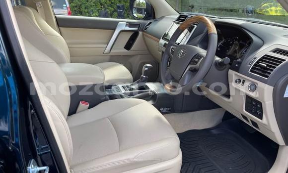 Tenga Tsaru Toyota Land Cruiser Prado Nhema Mota in Maputo in Maputo Tenga Tsaru Toyota Land Cruiser Prado Nhema Mota in Maputo in Maputo