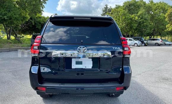 Tenga Tsaru Toyota Land Cruiser Prado Nhema Mota in Maputo in Maputo Tenga Tsaru Toyota Land Cruiser Prado Nhema Mota in Maputo in Maputo