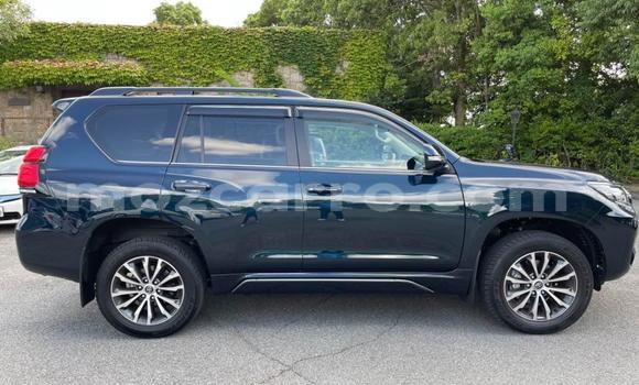 Tenga Tsaru Toyota Land Cruiser Prado Nhema Mota in Maputo in Maputo Tenga Tsaru Toyota Land Cruiser Prado Nhema Mota in Maputo in Maputo