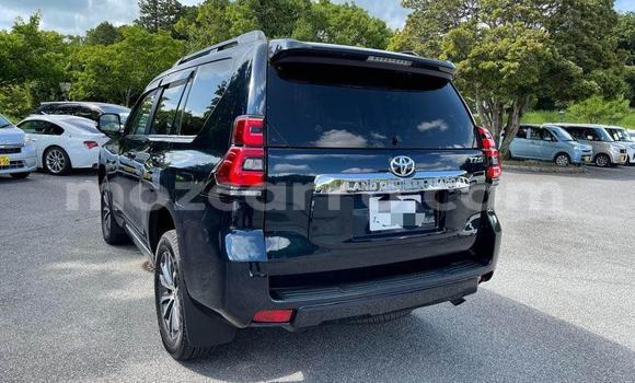 Tenga Tsaru Toyota Land Cruiser Prado Nhema Mota in Maputo in Maputo Tenga Tsaru Toyota Land Cruiser Prado Nhema Mota in Maputo in Maputo