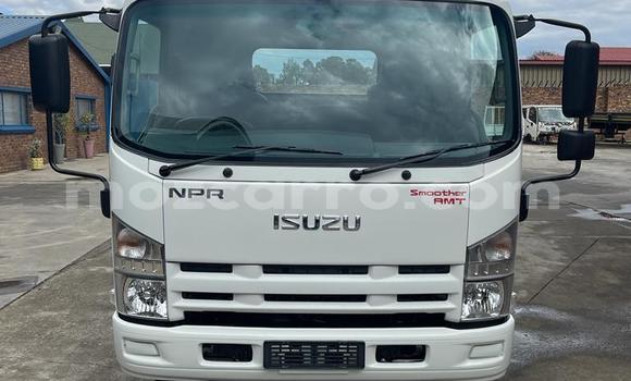 Comprar Usado Isuzu FTR 850 Branco Caminhão em Beira em Sofala