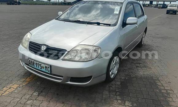 Comprar Usado Toyota Runx Prata Carro em Maputo em Maputo