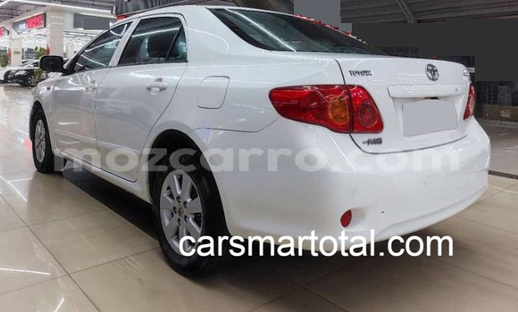 Comprar Usado Toyota Corolla Branco Carro em Angoche em Nampula Comprar Usado Toyota Corolla Branco Carro em Angoche em Nampula