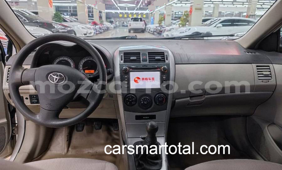 Comprar Usado Toyota Corolla Branco Carro em Angoche em Nampula Comprar Usado Toyota Corolla Branco Carro em Angoche em Nampula
