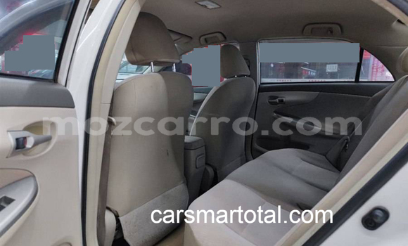 Comprar Usado Toyota Corolla Branco Carro em Angoche em Nampula Comprar Usado Toyota Corolla Branco Carro em Angoche em Nampula