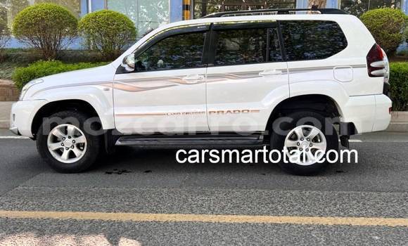 Comprar Usado Toyota Prado Branco Carro em Bela Vista em Maputo Comprar Usado Toyota Prado Branco Carro em Bela Vista em Maputo