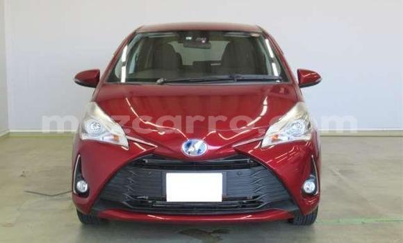 Buy Used Toyota Vitz Red Car in Beira in Sofala Buy Used Toyota Vitz Red Car in Beira in Sofala