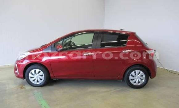 Buy Used Toyota Vitz Red Car in Beira in Sofala Buy Used Toyota Vitz Red Car in Beira in Sofala