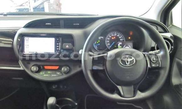 Buy Used Toyota Vitz Red Car in Beira in Sofala Buy Used Toyota Vitz Red Car in Beira in Sofala
