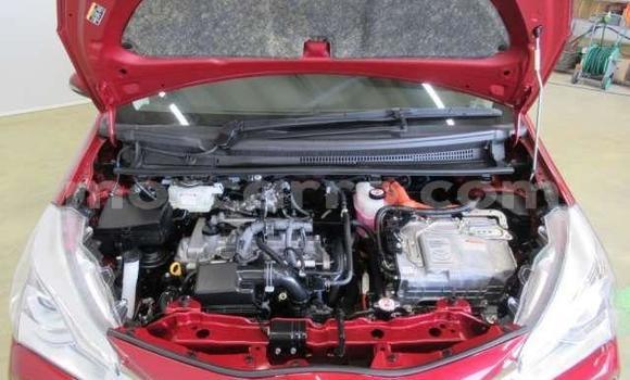 Buy Used Toyota Vitz Red Car in Beira in Sofala Buy Used Toyota Vitz Red Car in Beira in Sofala