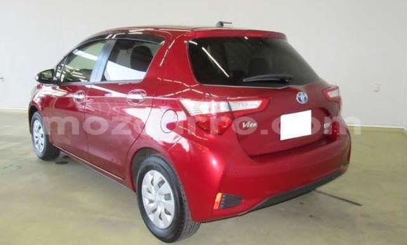 Buy Used Toyota Vitz Red Car in Beira in Sofala Buy Used Toyota Vitz Red Car in Beira in Sofala