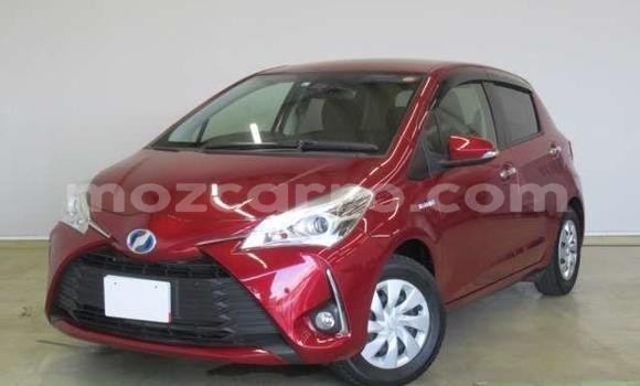 Buy Used Toyota Vitz Red Car in Beira in Sofala Buy Used Toyota Vitz Red Car in Beira in Sofala