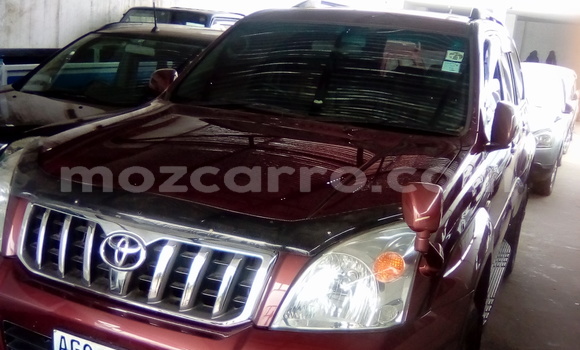 Buy Used Toyota Land Cruiser Other Car in Maputo in Maputo