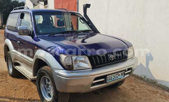 Comprar Usado Toyota Land Cruiser Azul Carro em Maputo em Maputo