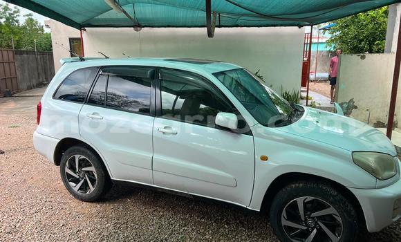 Tenga Tsaru Toyota RAV4 Chena Mota in Maputo in Maputo