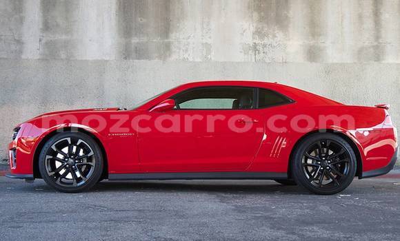 Tenga Tsaru Chevrolet Camaro Tsvuku Mota in Maputo in Maputo Tenga Tsaru Chevrolet Camaro Tsvuku Mota in Maputo in Maputo