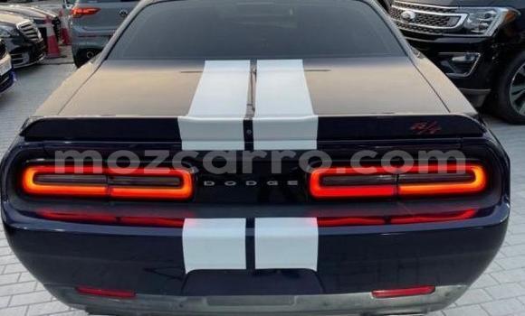 Tenga Tsaru Dodge Challenger Nhema Mota in Maputo in Maputo Tenga Tsaru Dodge Challenger Nhema Mota in Maputo in Maputo