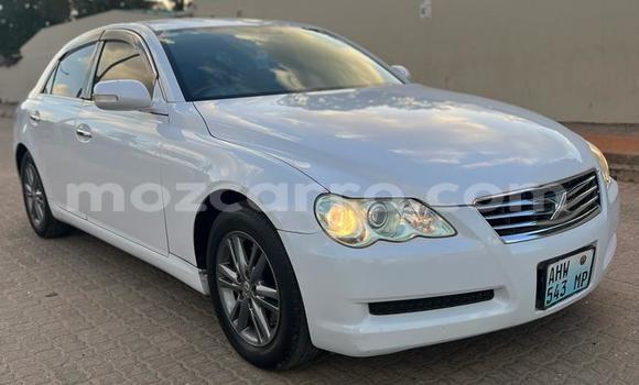 Tenga Tsaru Toyota Mark X Chena Mota in Maputo in Maputo