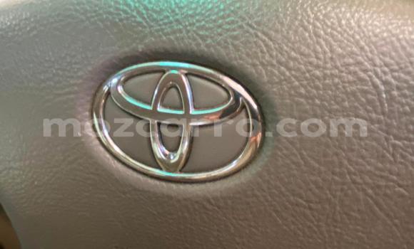 Tenga Tsaru Toyota Land Cruiser Prado Zvimwe Mota in Maputo in Maputo Tenga Tsaru Toyota Land Cruiser Prado Zvimwe Mota in Maputo in Maputo