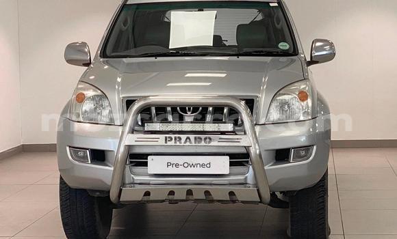 Tenga Tsaru Toyota Land Cruiser Prado Zvimwe Mota in Maputo in Maputo Tenga Tsaru Toyota Land Cruiser Prado Zvimwe Mota in Maputo in Maputo