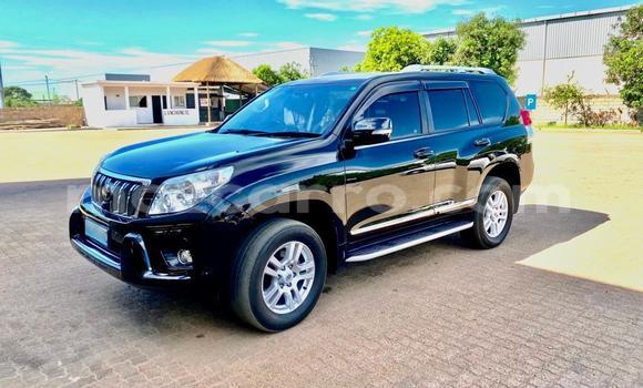 Buy New Toyota Prado Black Car in Maputo in Maputo Buy New Toyota Prado Black Car in Maputo in Maputo