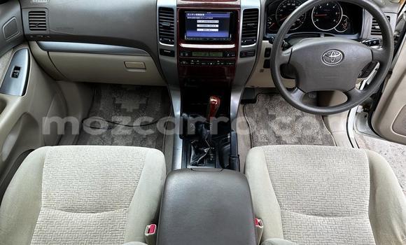 Buy New Toyota Prado White Car in Maputo in Maputo Buy New Toyota Prado White Car in Maputo in Maputo