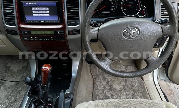 Buy New Toyota Prado White Car in Maputo in Maputo Buy New Toyota Prado White Car in Maputo in Maputo