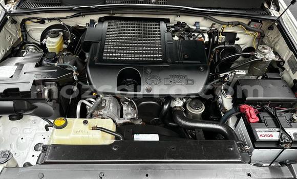 Buy New Toyota Prado White Car in Maputo in Maputo Buy New Toyota Prado White Car in Maputo in Maputo