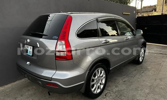 Buy Used Honda CR-V Other Car in Maputo in Maputo Buy Used Honda CR-V Other Car in Maputo in Maputo