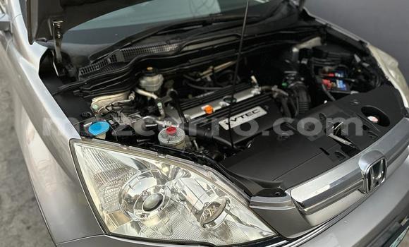 Buy Used Honda CR-V Other Car in Maputo in Maputo Buy Used Honda CR-V Other Car in Maputo in Maputo