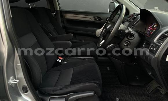 Buy Used Honda CR-V Other Car in Maputo in Maputo Buy Used Honda CR-V Other Car in Maputo in Maputo