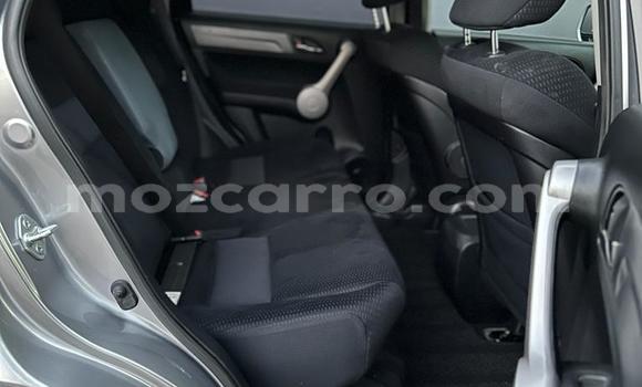 Buy Used Honda CR-V Other Car in Maputo in Maputo Buy Used Honda CR-V Other Car in Maputo in Maputo