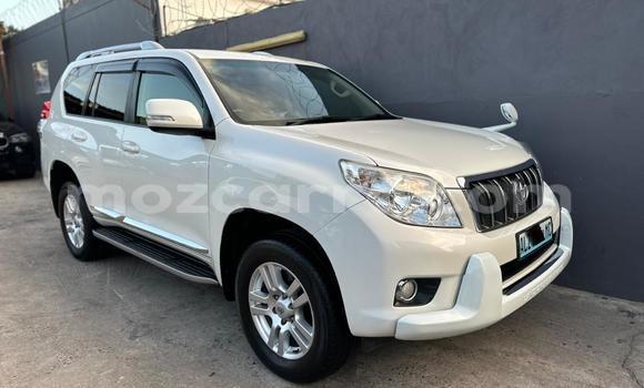 Comprar Novo Toyota Prado Branco Carro em Maputo em Maputo Comprar Novo Toyota Prado Branco Carro em Maputo em Maputo