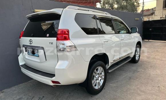 Buy New Toyota Prado White Car in Maputo in Maputo Buy New Toyota Prado White Car in Maputo in Maputo