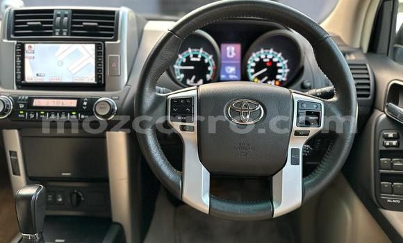 Buy New Toyota Prado White Car in Maputo in Maputo Buy New Toyota Prado White Car in Maputo in Maputo