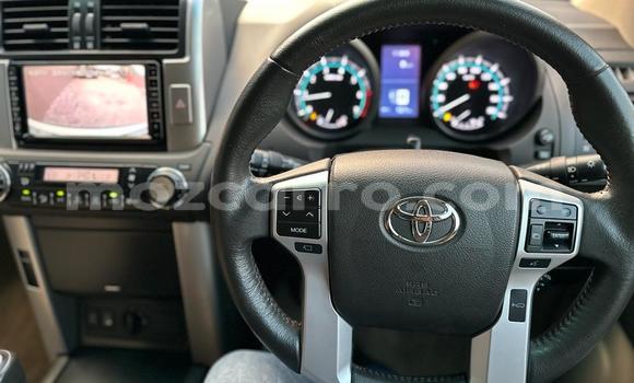 Buy New Toyota Prado White Car in Maputo in Maputo Buy New Toyota Prado White Car in Maputo in Maputo
