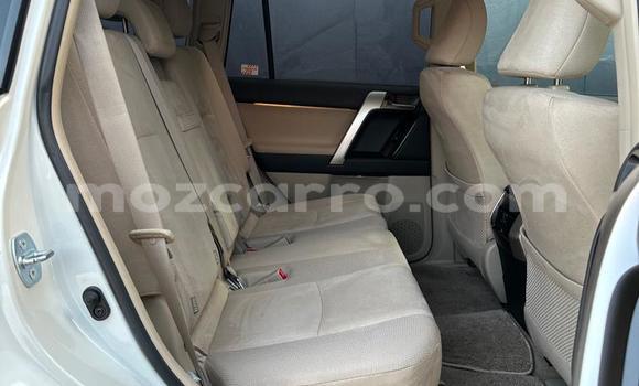 Buy New Toyota Prado White Car in Maputo in Maputo Buy New Toyota Prado White Car in Maputo in Maputo
