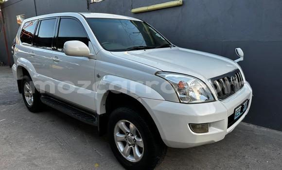 Comprar Novo Toyota Prado Branco Carro em Maputo em Maputo Comprar Novo Toyota Prado Branco Carro em Maputo em Maputo