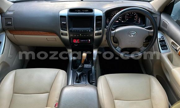 Buy New Toyota Prado White Car in Maputo in Maputo Buy New Toyota Prado White Car in Maputo in Maputo