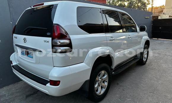 Buy New Toyota Prado White Car in Maputo in Maputo Buy New Toyota Prado White Car in Maputo in Maputo