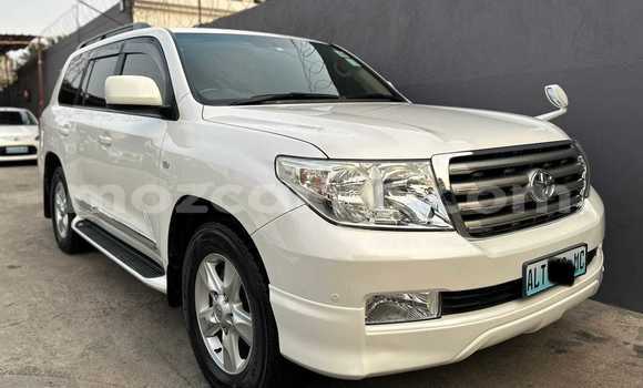 Buy New Toyota Land Cruiser White Car in Maputo in Maputo