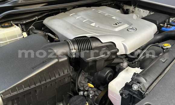 Comprar Novo Toyota Land Cruiser Branco Carro em Maputo em Maputo Comprar Novo Toyota Land Cruiser Branco Carro em Maputo em Maputo