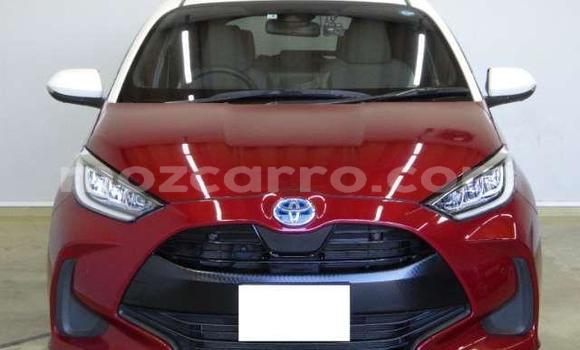 Buy Used Toyota Yaris Red Car in Inhambane in Inhambane Buy Used Toyota Yaris Red Car in Inhambane in Inhambane