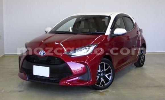 Buy Used Toyota Yaris Red Car in Inhambane in Inhambane Buy Used Toyota Yaris Red Car in Inhambane in Inhambane